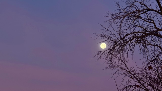 Night Sky over Neenah, Wisconsin